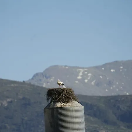 El Mirador De Segovia *