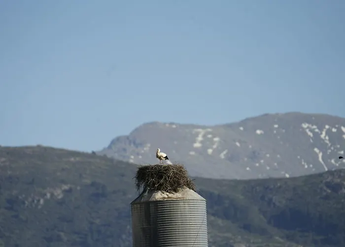 El Mirador De Segovia *